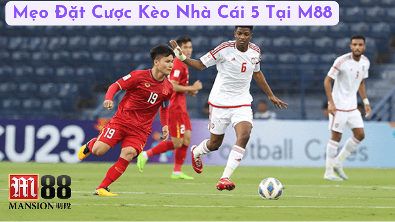 Mẹo Đặt Cược Kèo Nhà Cái 5 Tại M88