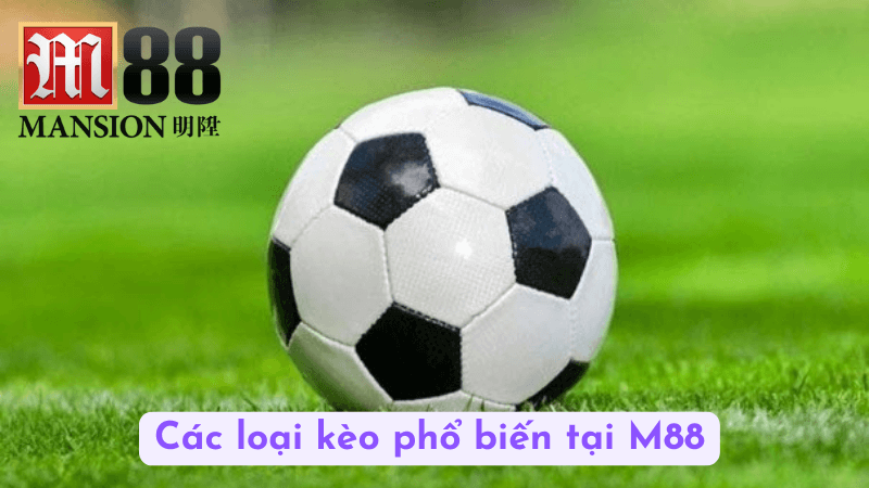 Các loại kèo phổ biến tại M88